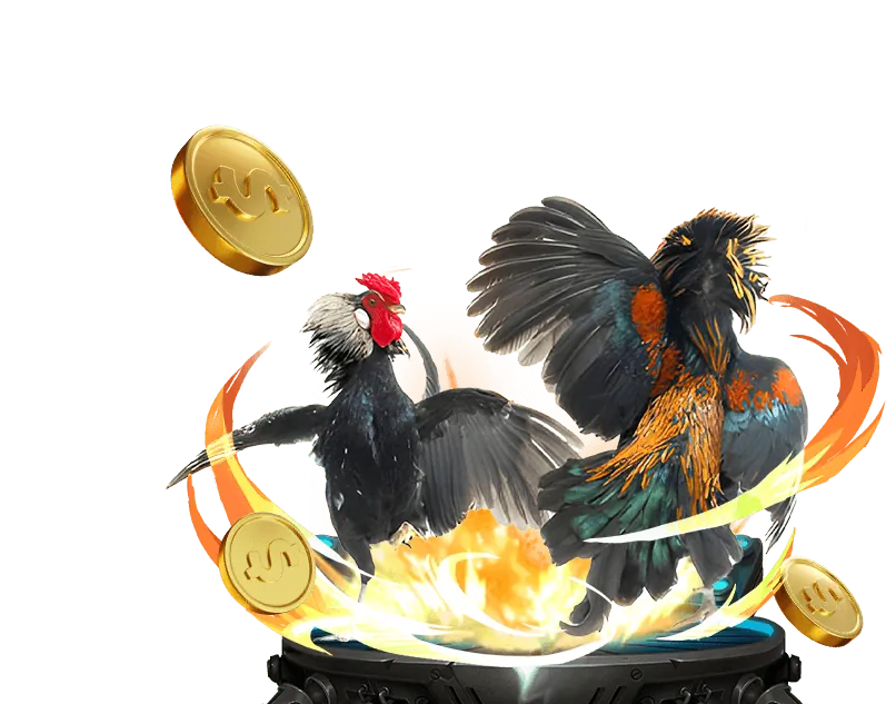 Đá Gà Trực Tiếp tại Trang Đá Gà AE888